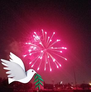 Meet your Posher, Martha